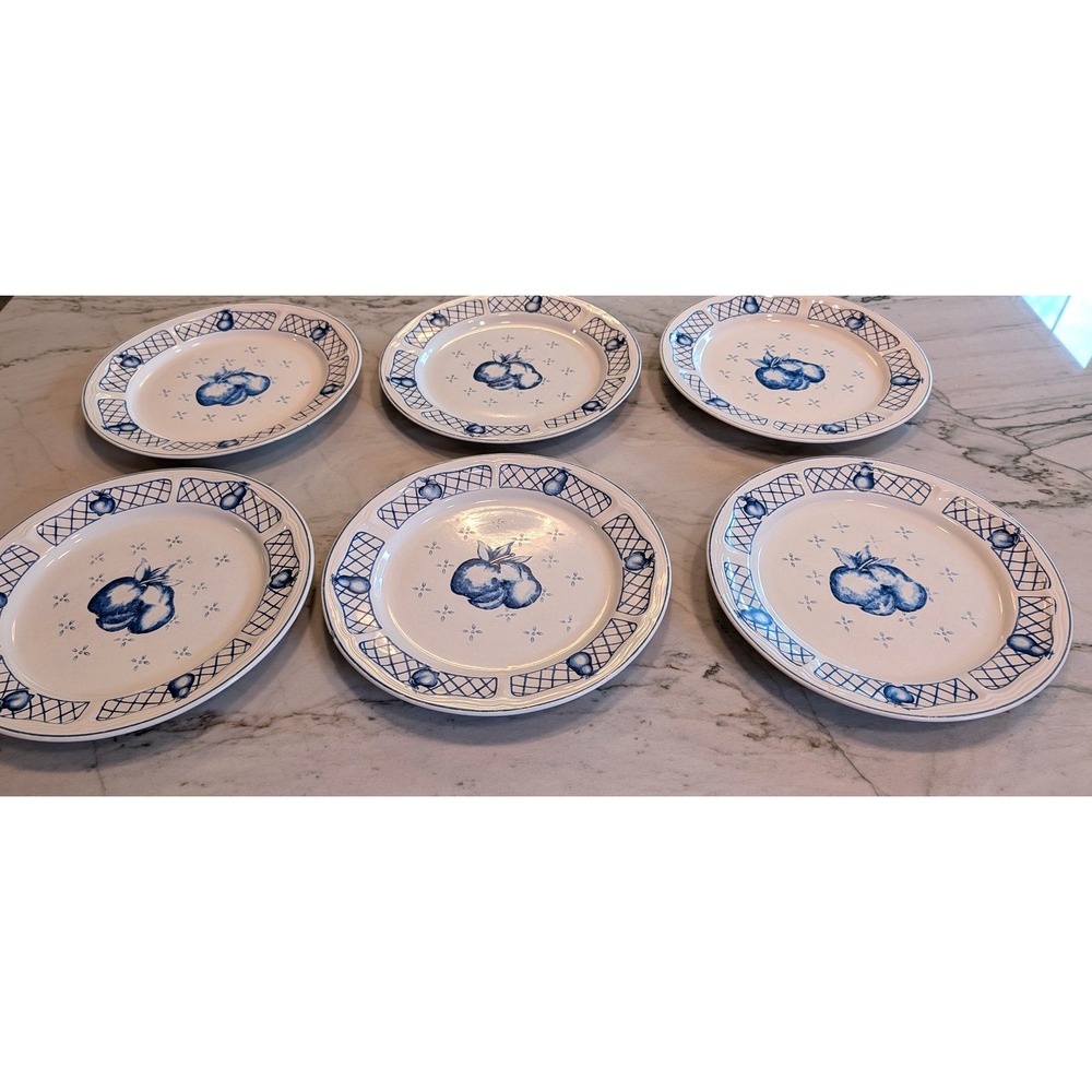 Set of 6 Newcor Cape Cod Dinner Plates Blue White Fruit Stoneware 1994 Vintage